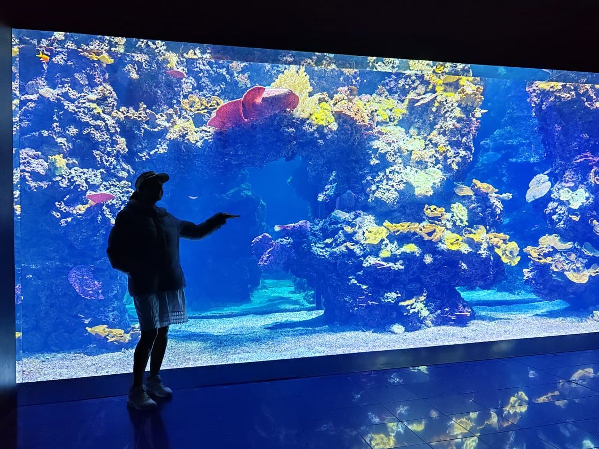 Visitante frente a la pecera grande del acuario